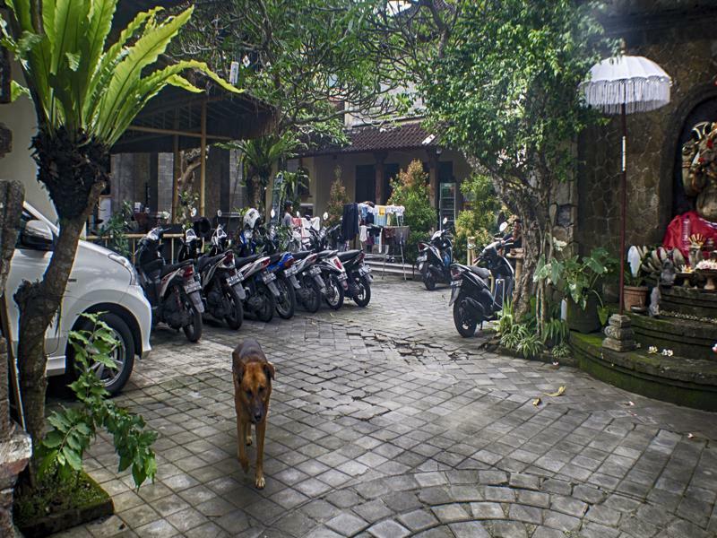 Lagas Hostel Ubud Exterior foto